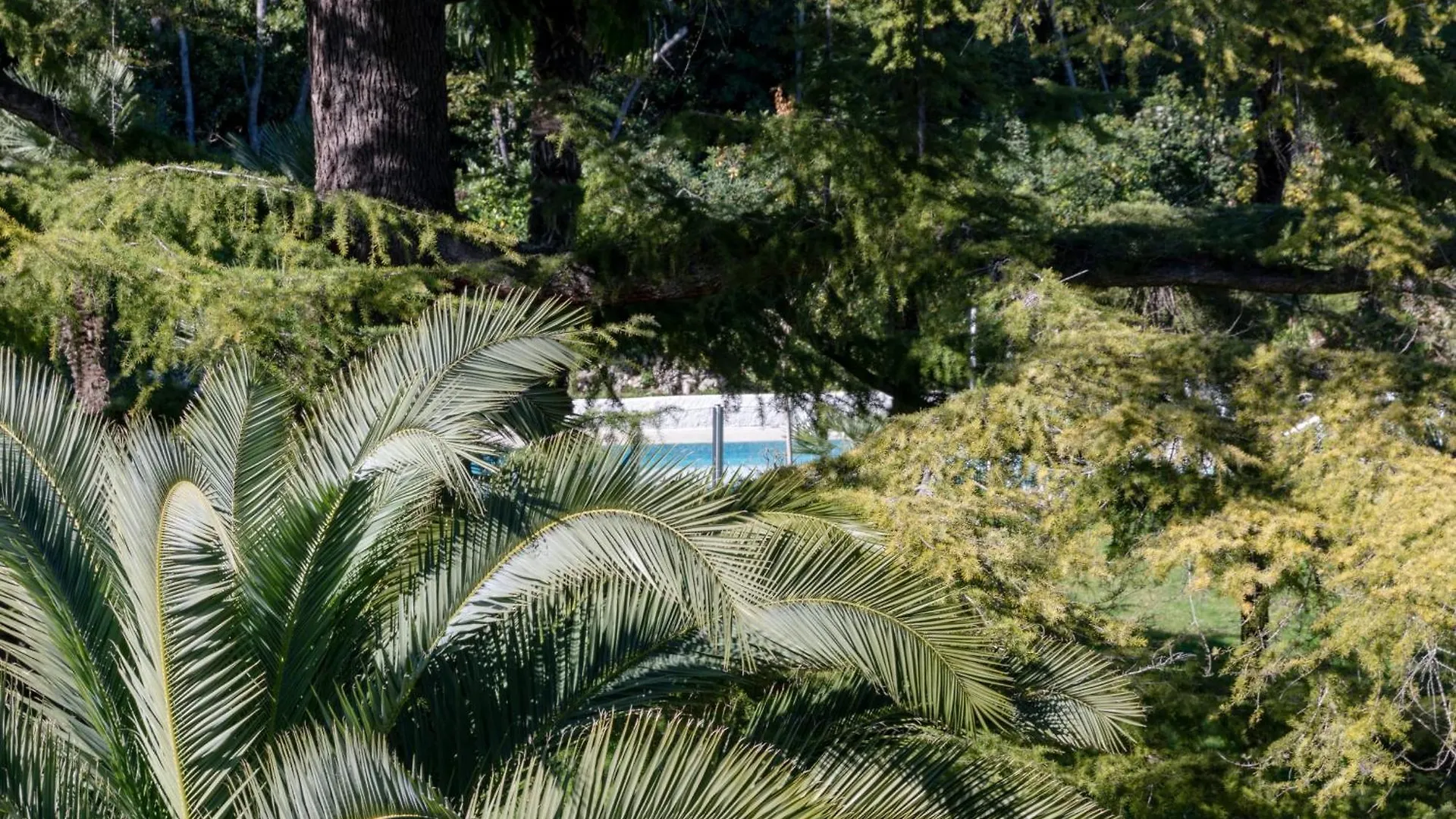 Spacious 2-Br Apartment In A Residence With Pool Cannes 0*,